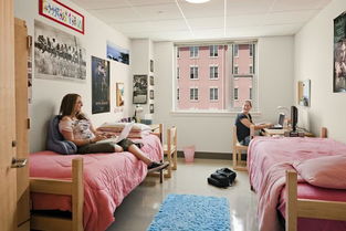 高校住宿服務(wù)回歸純粹，河北新規(guī)禁止公寓有償服務(wù)與住宿捆綁